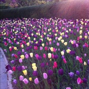 Meet your Posher, Reyna